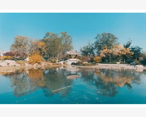 清肺棒骨炖汤：呵护呼吸健康，中医科普精华！