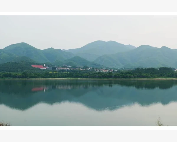 儿童扁桃体总发炎怎么调理