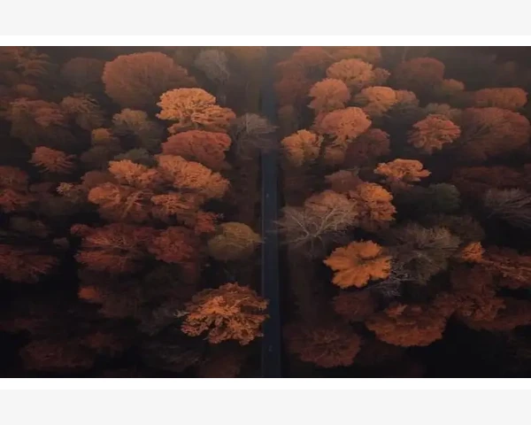 脾胃升降失衡，如何化解便秘烦恼？